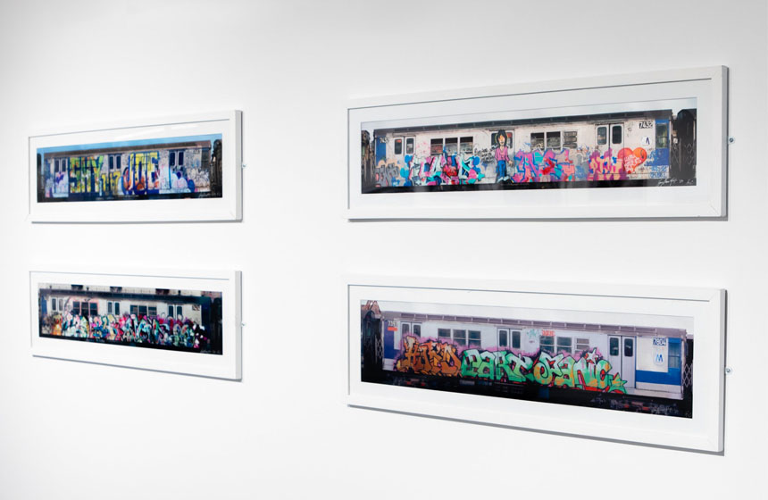 Portfolio Gallery